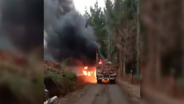 Ataque deja al menos siete camiones quemados en faena forestal en Teodoro Schmidt