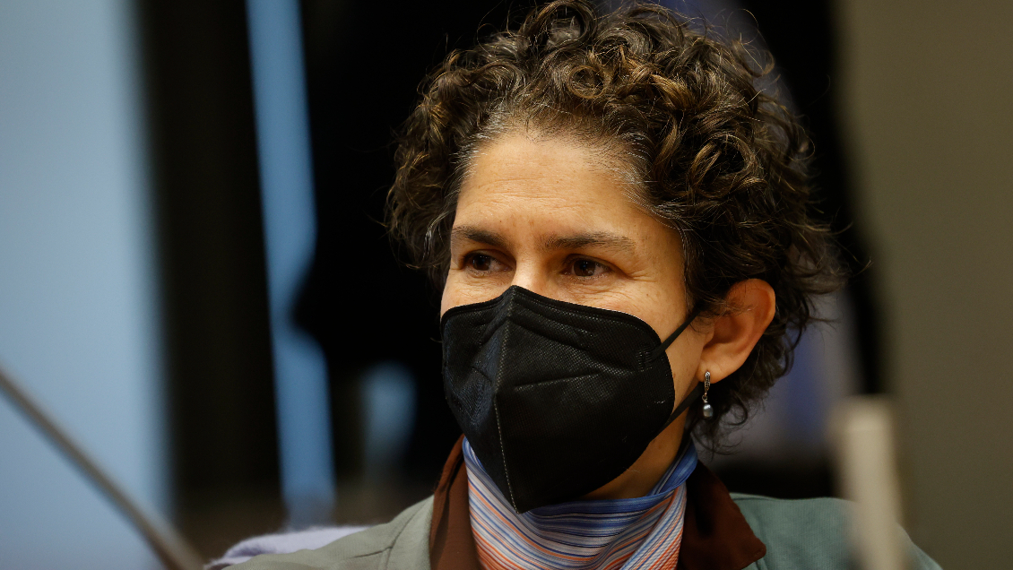 Proyecto Dominga: Ministra Rojas asegura que Acuerdo de Escazú habría evitado la judicialización