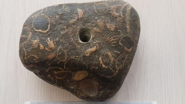 Recuperaron piedra paleontológica que era vendida por redes sociales