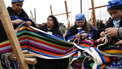  Mujeres mapuche tejieron el arcoíris más largo del mundo  