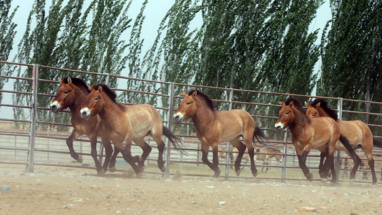 Imagen foto_00000002