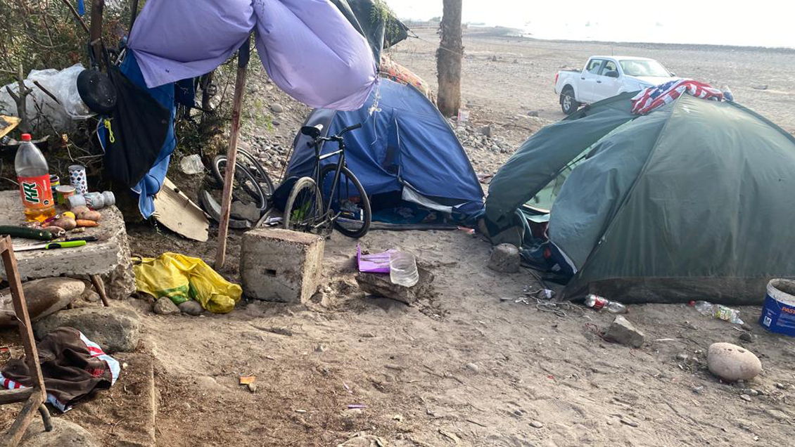 Sujetos fueron sorprendidos mientras asaban un lobo marino en Arica