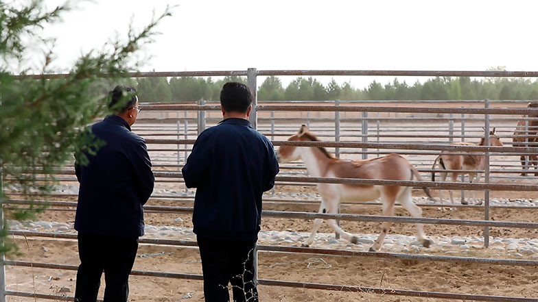 Imagen foto_00000013