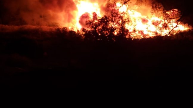 Incendio descontrolado de pastizales en Tiliviche moviliza a Bomberos de toda la Región de Tarapacá