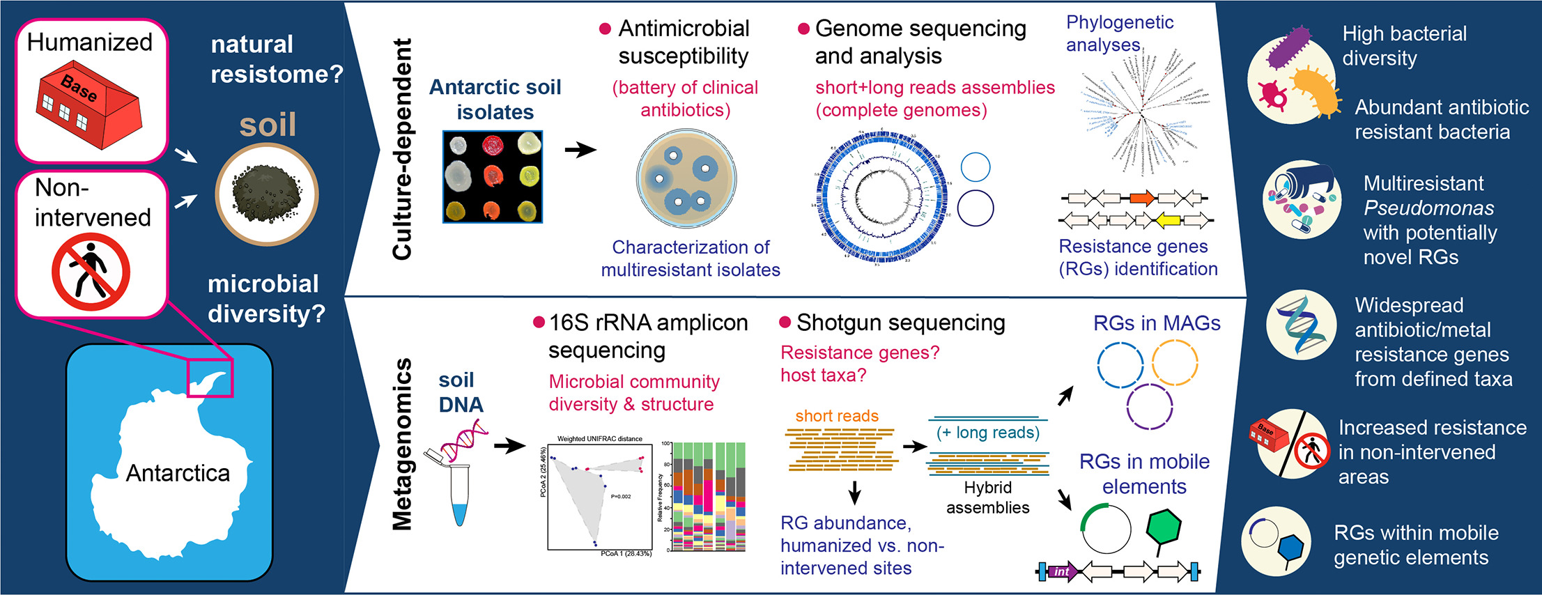 Imagen foto_00000001