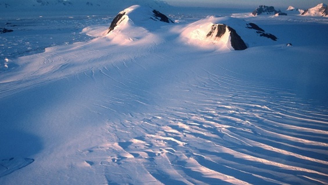 Chilenos descubren en la Antártica bacterias hiper resistentes: Podrían ser un riesgo para la salud global