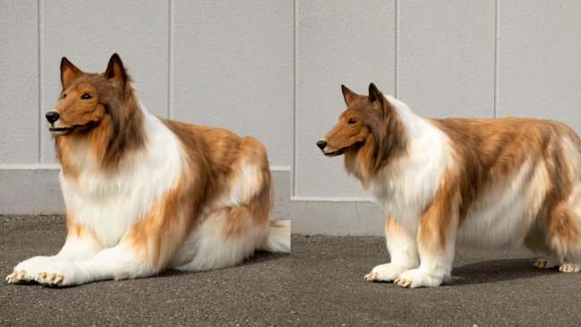 Hombre gasta $13 millones en disfraz de perro para cumplir su sueño de ser un animal