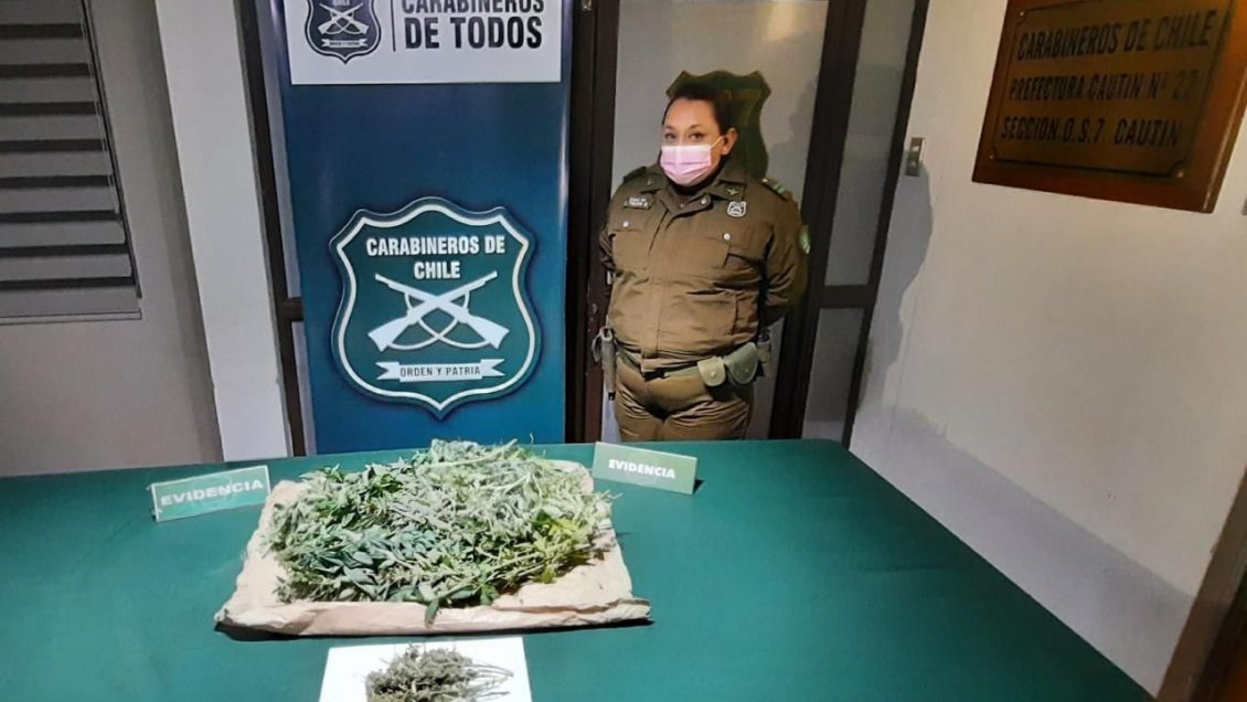 Carabineros incautó droga avaluada en 26 millones de pesos en La Araucanía
