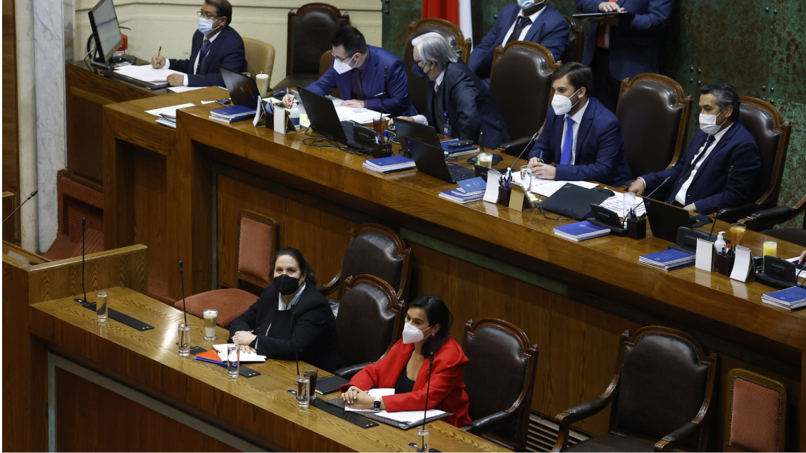 Cámara Baja declaró a la CAM y otros tres grupos radicales como asociaciones terroristas