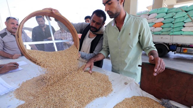   FAO: El precio de los alimentos baja en mayo, pero sube el cereal debido a guerra 