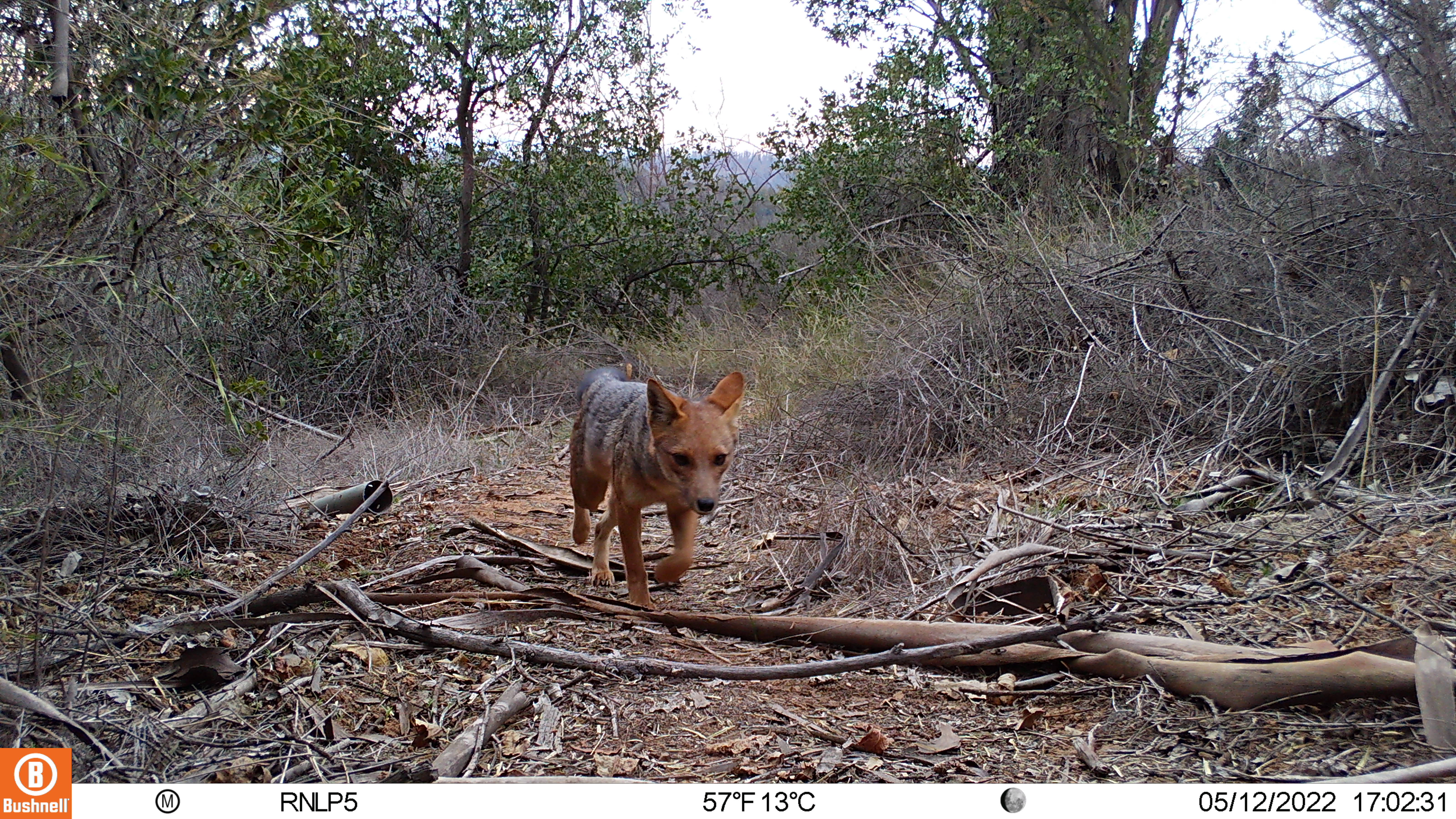 Imagen foto_00000001