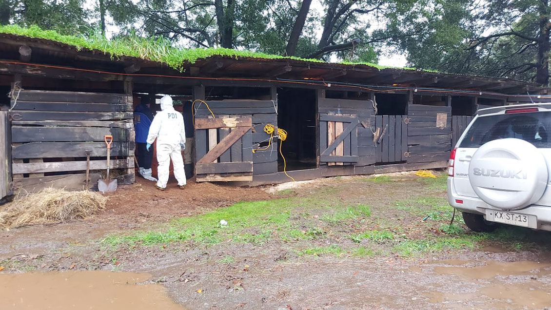 Confesión permitió hallar cuerpo de una mujer que estaba desaparecida desde hace 24 años en Osorno