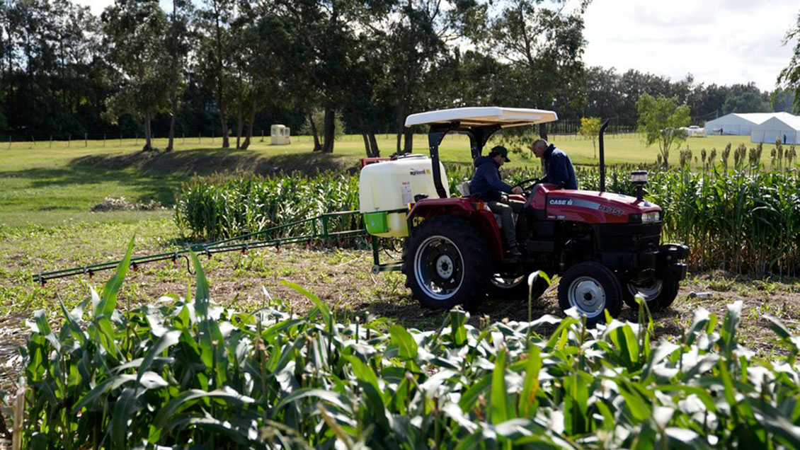 Falta de fertilizantes por guerra lleva a Latinoamérica a buscar alternativas