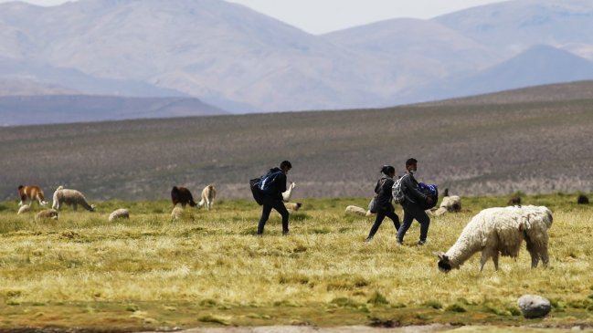 Tráfico de migrantes en Chile aumentó siete veces en un año