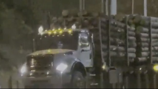 Ruta del Itata denunció paso de camiones con madera presuntamente robada sin pagar y eludiendo controles