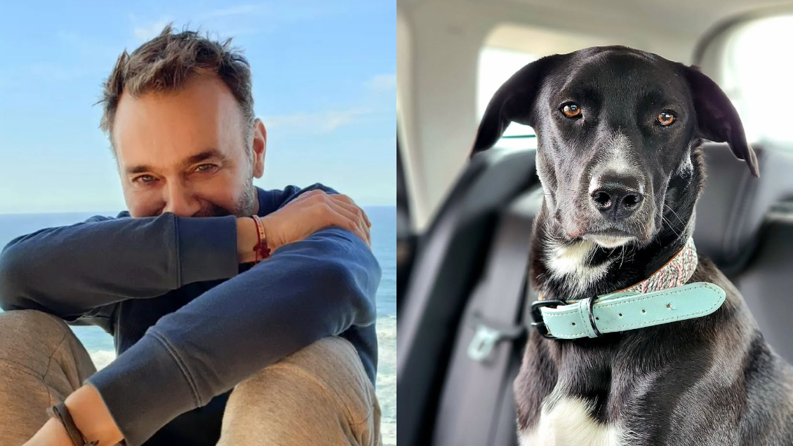 Jordi Castell y polémica alusión a Nina Simone: Crean 