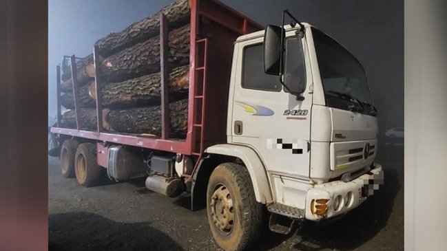 Hombre fue detenido con madera robada desde un predio de Valdivia