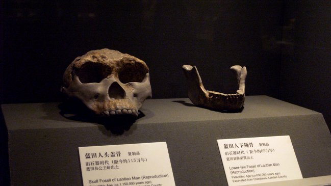   Homo erectus de Gongwangling pudo ser primer poblador de China, según estudio 