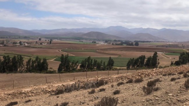 Mujer condenada a 20 años por estafas y loteos irregulares fue formalizada por nuevo timo