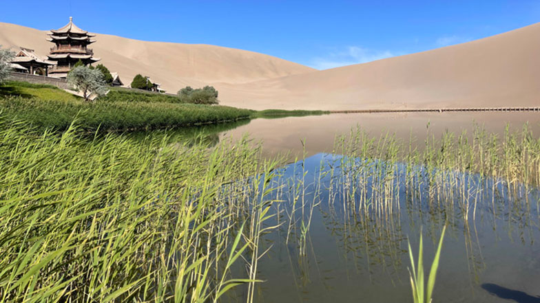 Imagen foto_00000002