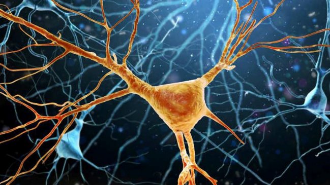 Día Mundial de la lucha contra la ELA, enfermedad que afecta al sistema nerviosa y que aún no tiene cura