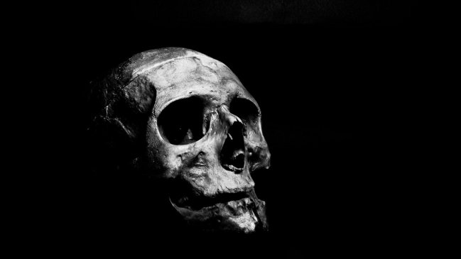  Cráneo encontrado en Golfo de Arauco tiene 6.500 años de antigüedad  