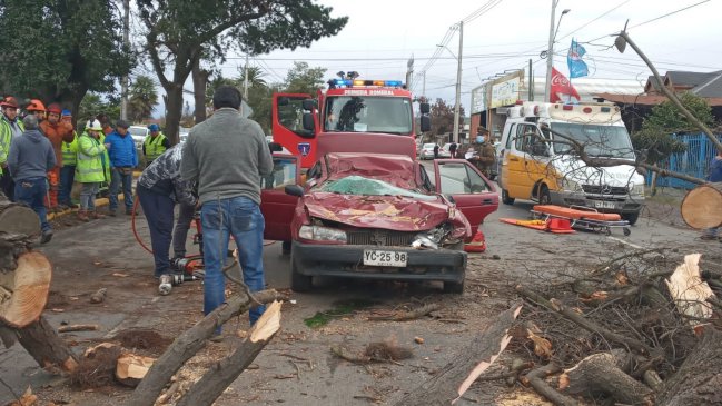 Árbol cayó sobre un auto en Romeral: Una persona murió y otra se encuentra en riesgo vital