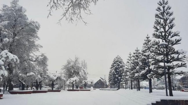 Nevazones mantienen aisladas a miles de personas en Lonquimay
