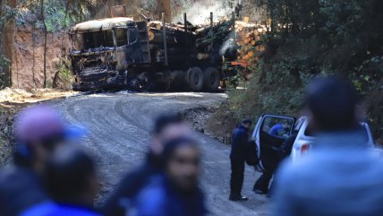   ¿Hay crisis humanitaria en La Araucanía? 