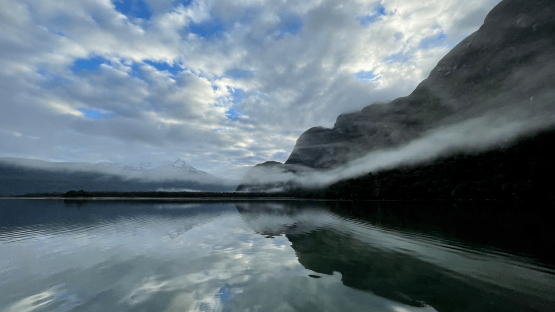 Ya es una realidad: Chile concreta el Parque Marino Tic Toc, en la Región de Los Lagos