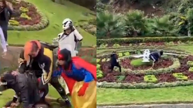 Por daños fue formalizado joven que vandalizó el reloj de flores de Viña del Mar