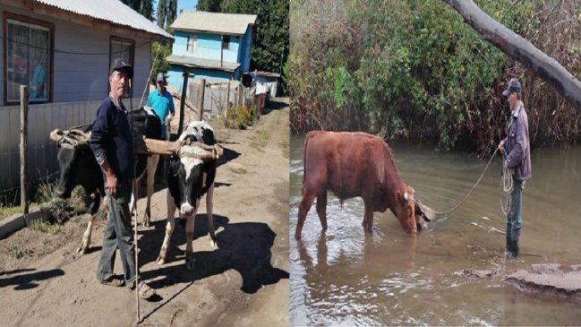 Familia clama por ayuda especializada para buscar en río de Nacimiento a campesino perdido