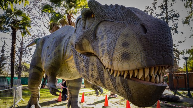 Algunos panoramas para las vacaciones escolares de invierno