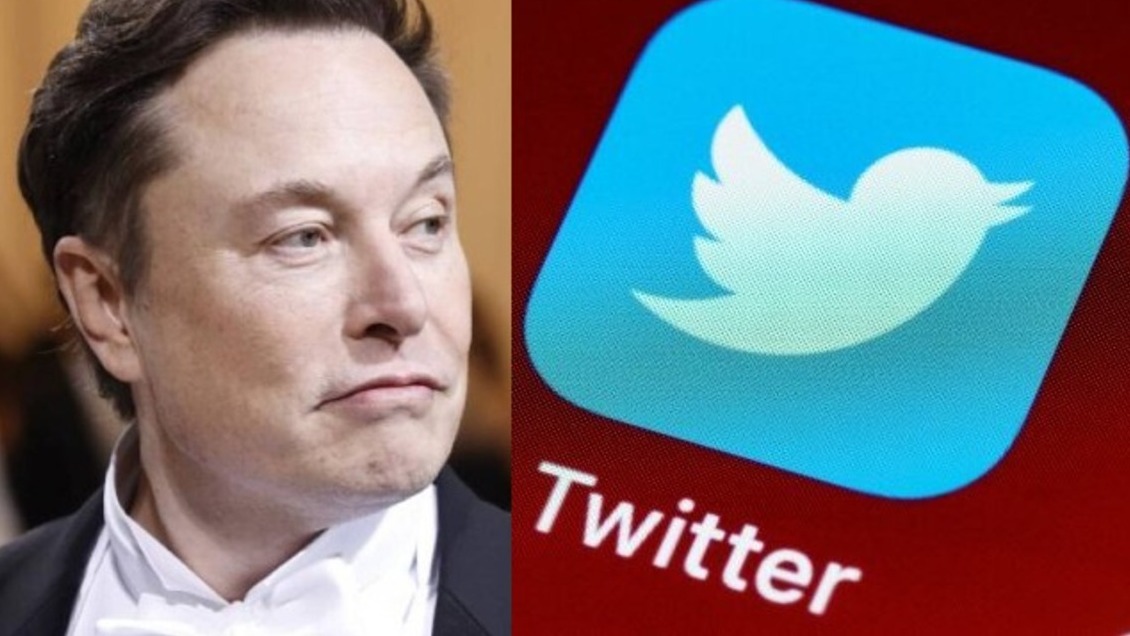 Musk canceló la compra de Twitter por supuesta 