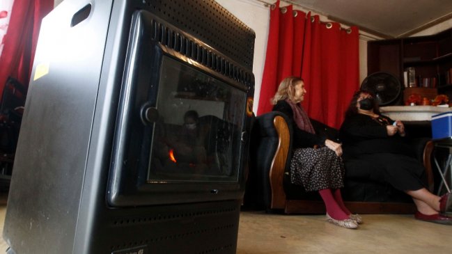 Productores de pellet reportan quiebre de stock