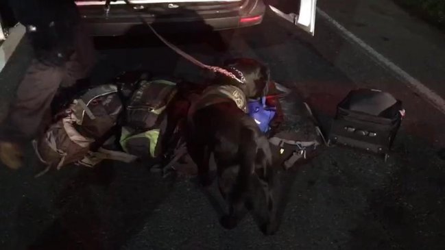 Procedimiento carretero en Perquenco termina con una persona detenida y cocaína incautada