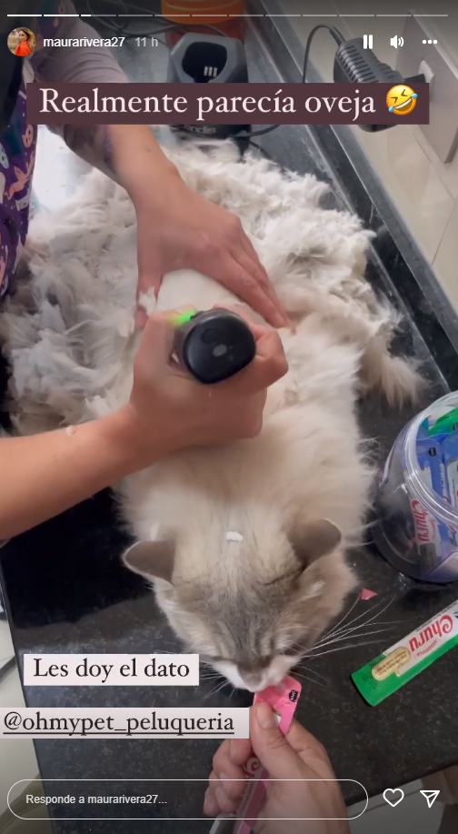 Imagen foto_00000011