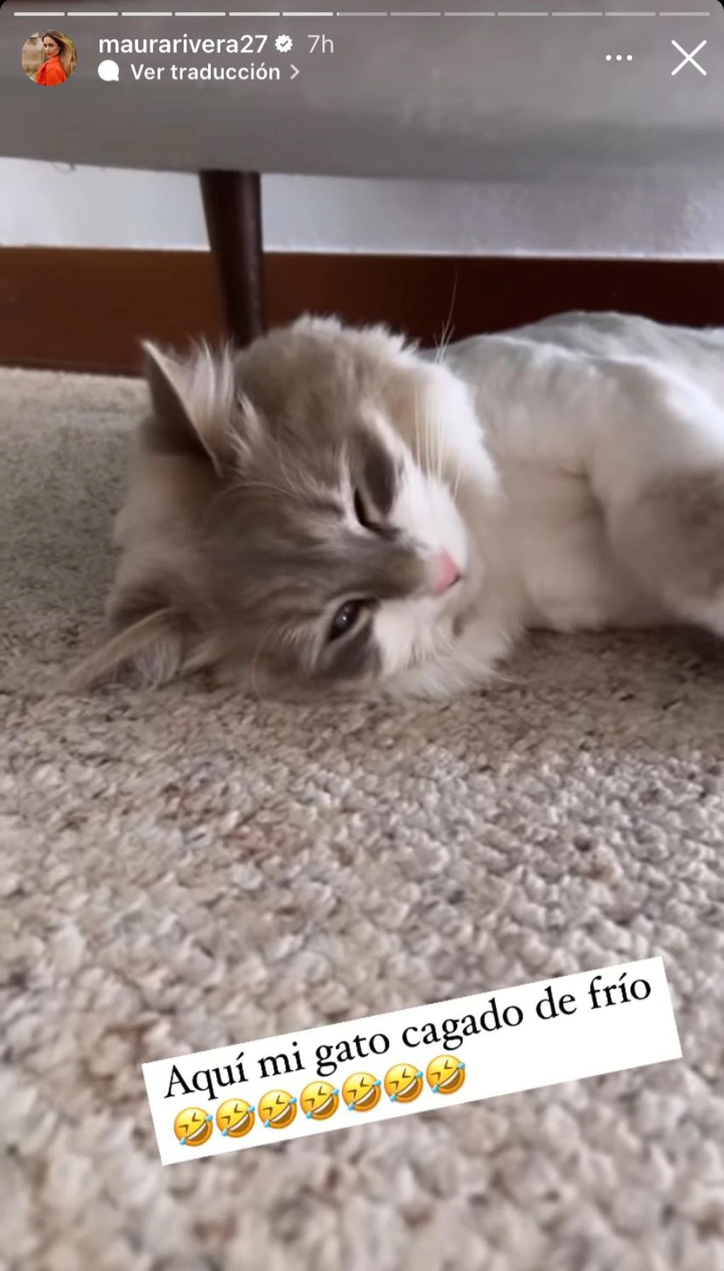 Imagen foto_00000013