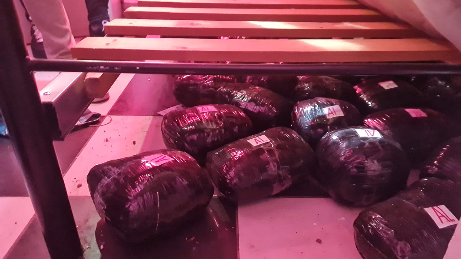 Imagen foto_00000001