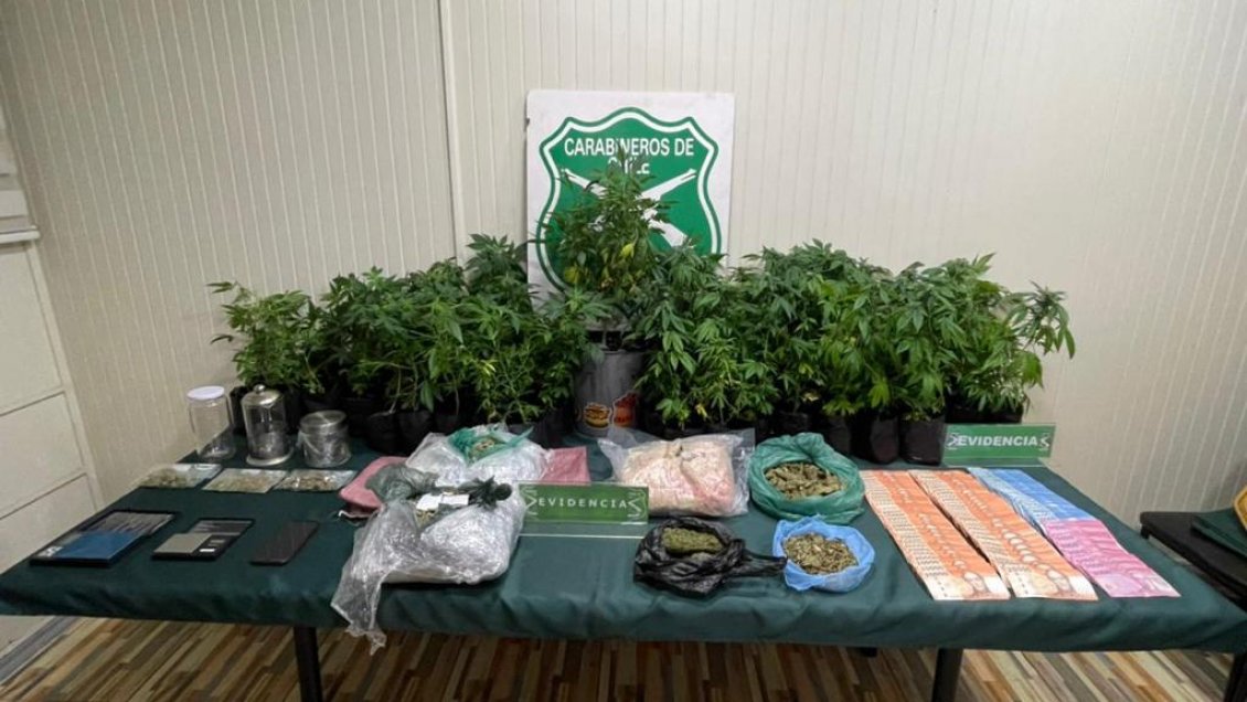 Carabineros incautó más de 3 kilos de droga y 70 plantas de cannabis en Coyhaique