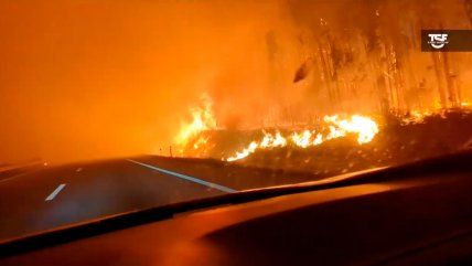   Periodista filmó infernal ruta en carretera de Portugal 
