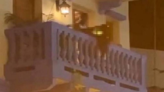 Pareja fue grabada teniendo sexo en un balcón en Colombia: Turista acabó sancionado