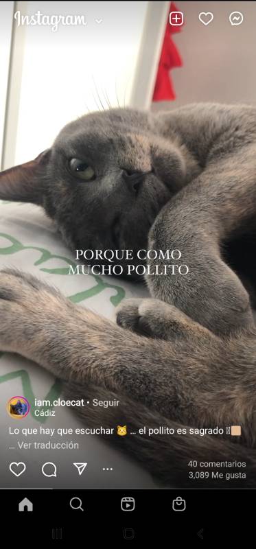 Imagen foto_00000001