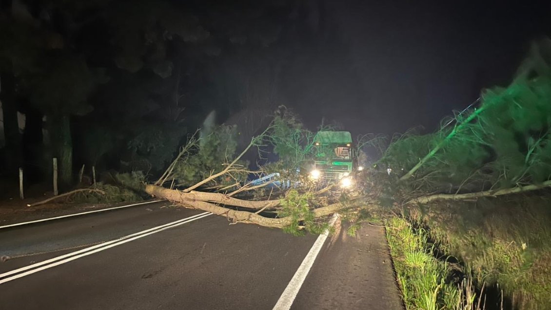 Sujetos levantaron barricadas y cortaron tránsito en Ruta de la Madera