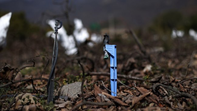 Concluyó pionero proyecto que busca proteger de la sequía a pequeña agricultura en la Región de OHiggins