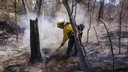   Gigantesco incendio cerca al mítico parque Yosemite en EEUU: ya van 4.800 hectáreas quemadas 