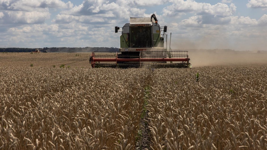 Tres puertos del Mar Negro inician operativos para exportar grano, según Kiev