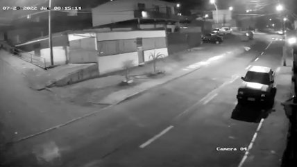   Perrito corrió despavorido durante fuerte temblor en el norte 