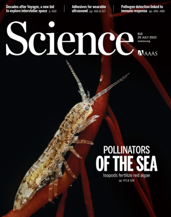 Imagen foto_00000002