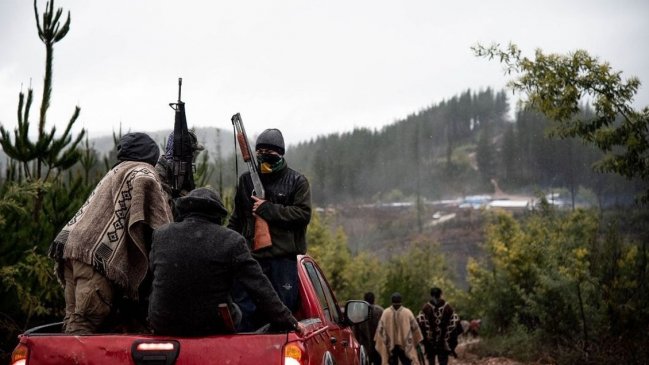 CAM se tomó siete fundos de Angol pertenecientes a empresas forestales